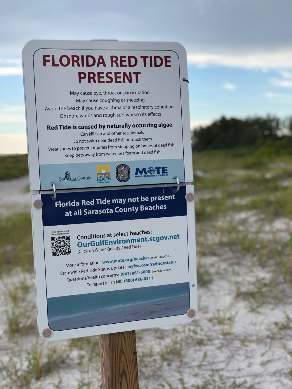 Red tide warning at Lido Key Beach in Sarasota county. Photo courtesy of Eillin Delapaz.