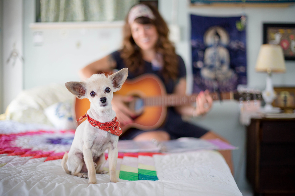 Rainbow Veterinary Hospice - The Exelby’s grand dog, Rico, and daughter Julia playing the guitar. Rico passed over the rainbow bridge in this bed he loved so much.