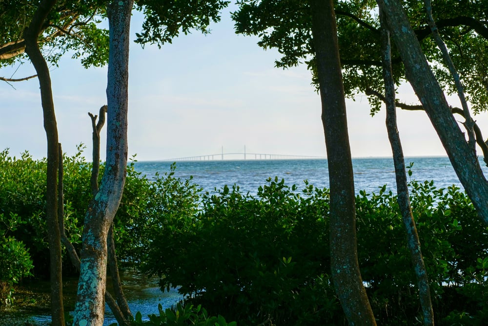 Take a stroll along the beautiful waterfront at Pinellas Point Park and catch a glimpse of the Sunshine Skyway. Photo by Tony Sica