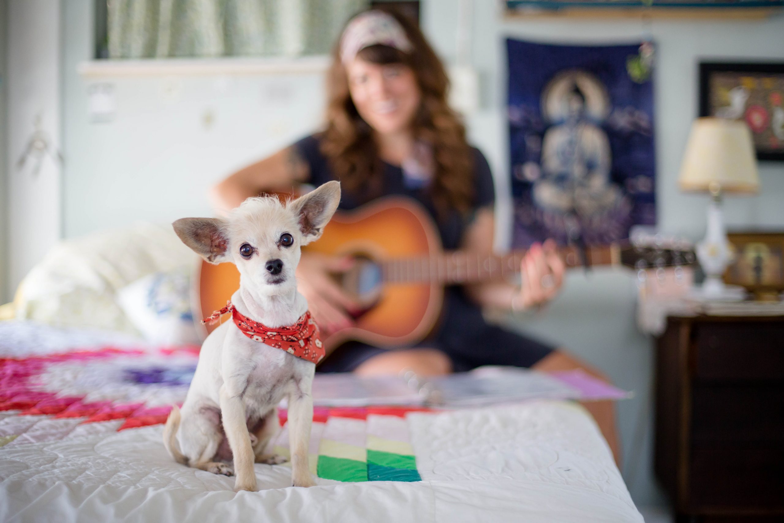 The Exelby’s grand dog, Rico, and daughter Julia playing the guitar. Rico passed over the rainbow bridge in this bed he loved so much. Photo by Stephanie Lynn Warga / Tiny House Photo.