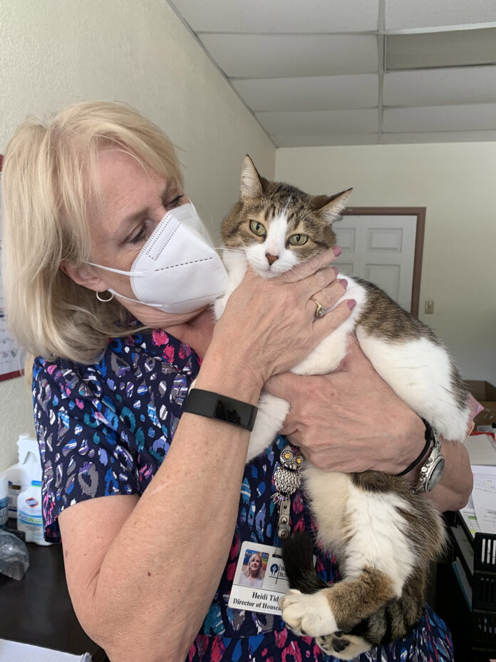 Laurel gets a snuggle from Westminster Suncoast’s Heidi Tidd. Laurel, is the poster cat for the Furry Godparent Program. Laurel was successfully rehomed within four days and her journey was the inspiration to start this program for seniors.